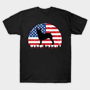 Vintage Retro Boston Terries American Flag 4th of July Gifts T-Shirt